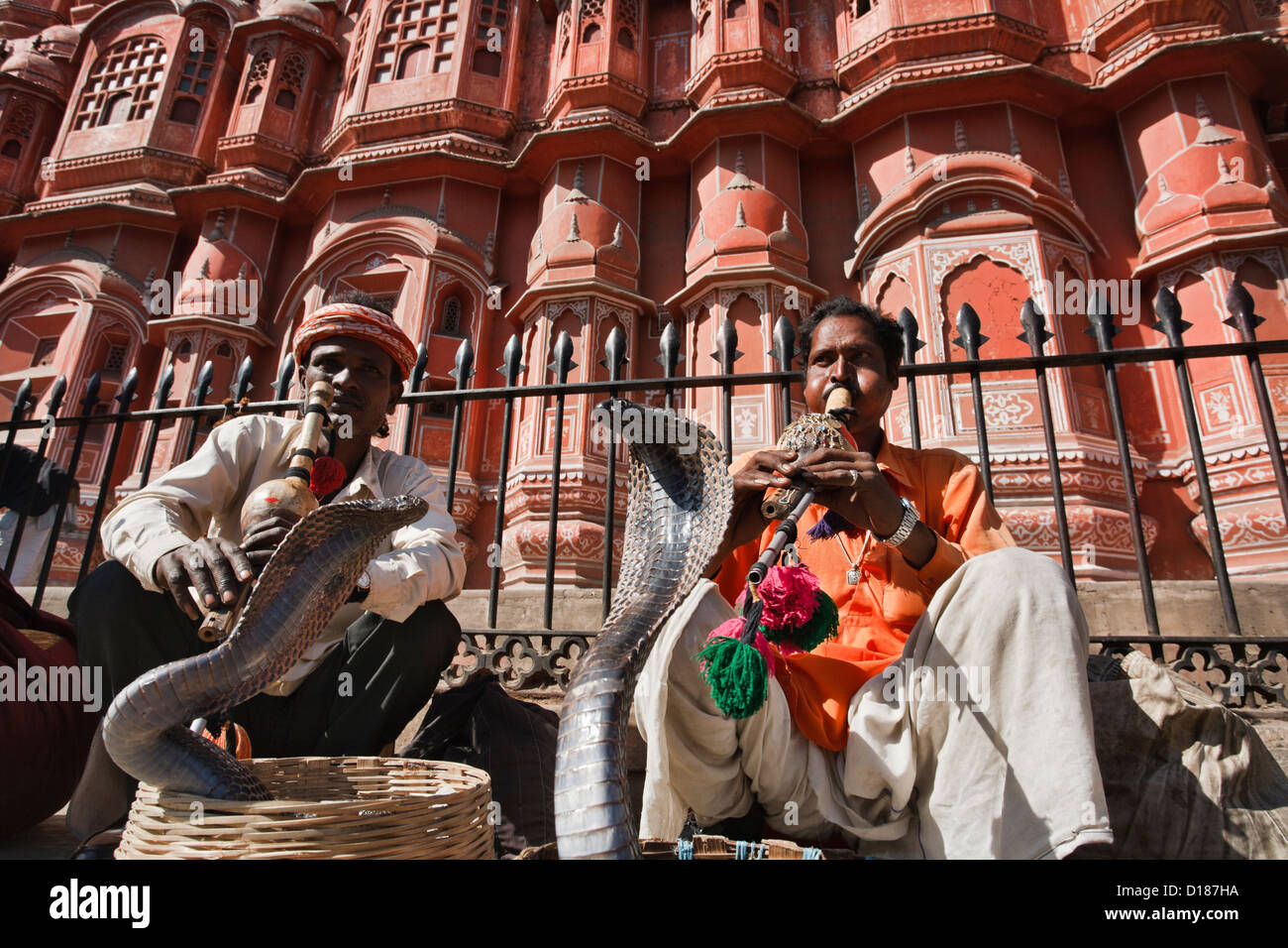 India. Rajasthan, Jaipur, incantatori di serpenti fare due re cobras (Ophiophagus hannah) dance nella parte anteriore dei venti Palace Foto Stock