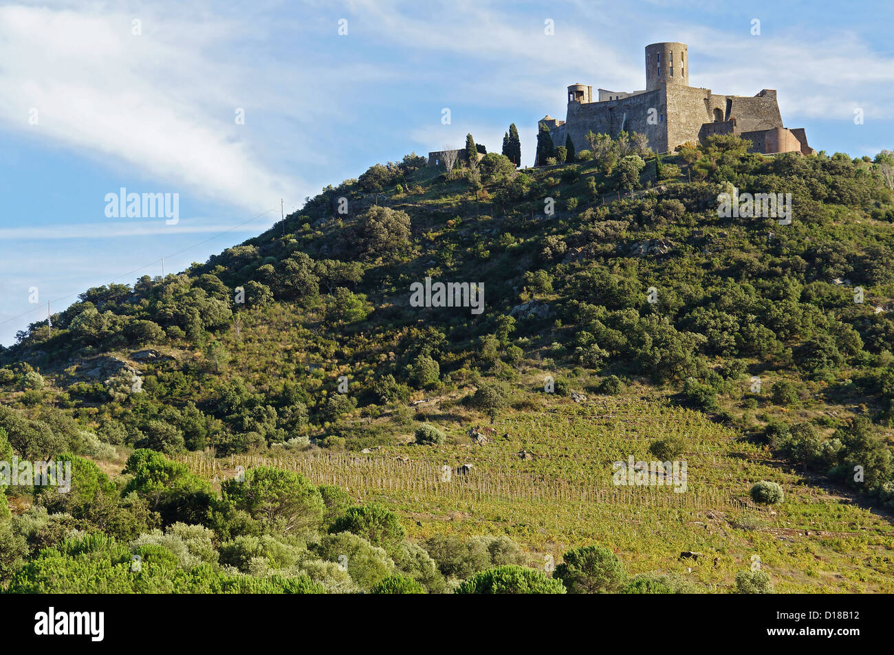 Fort Saint Elme situato su una collina a Collioure e Port-Vendres, Côte Vermeille, Mediterraneo, Roussillon, Francia Foto Stock
