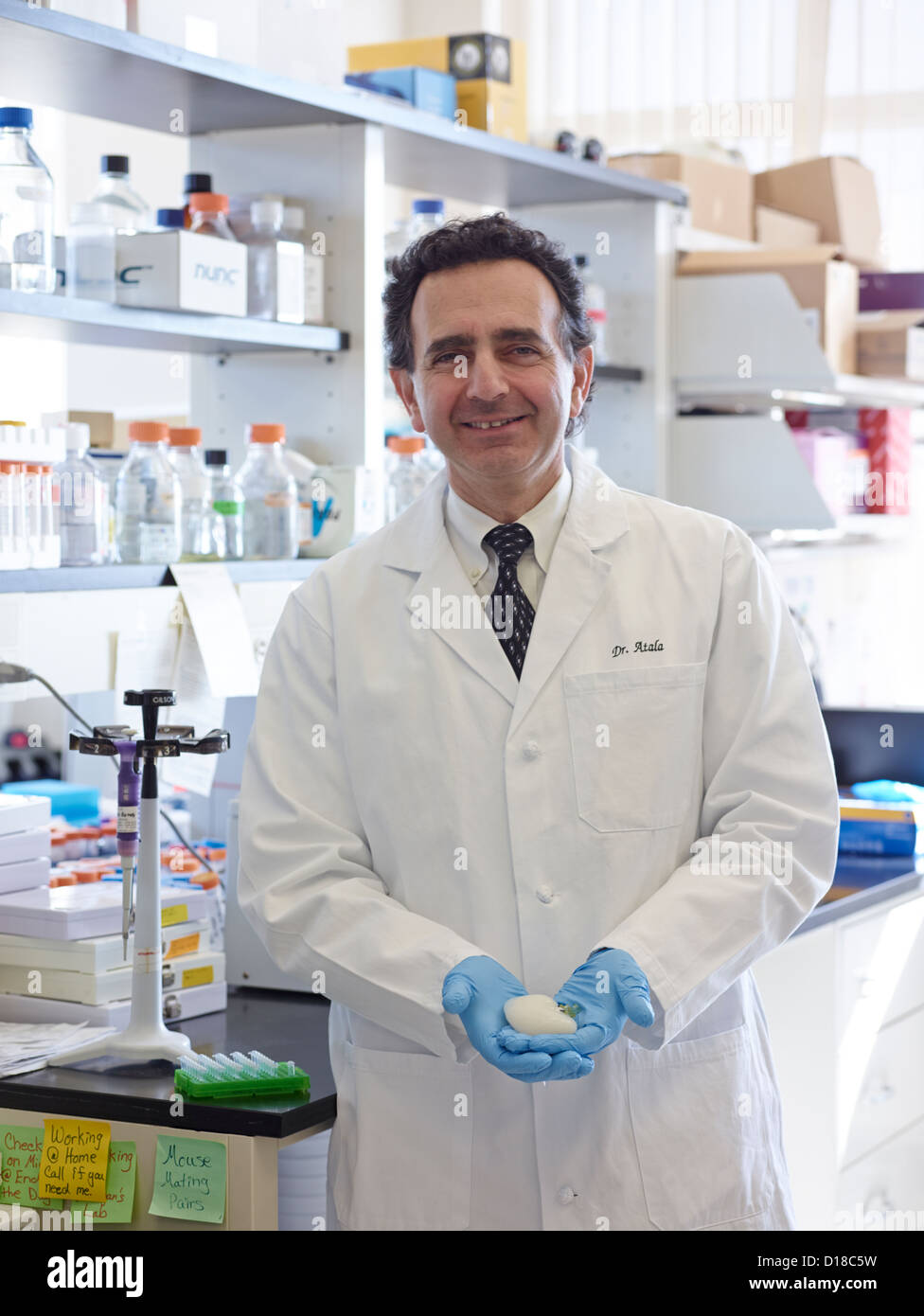 Medico Anthony Atala, M.D., Professore e Direttore del Wake Forest Institute per la medicina rigenerativa tenendo i campioni di medicinali Foto Stock