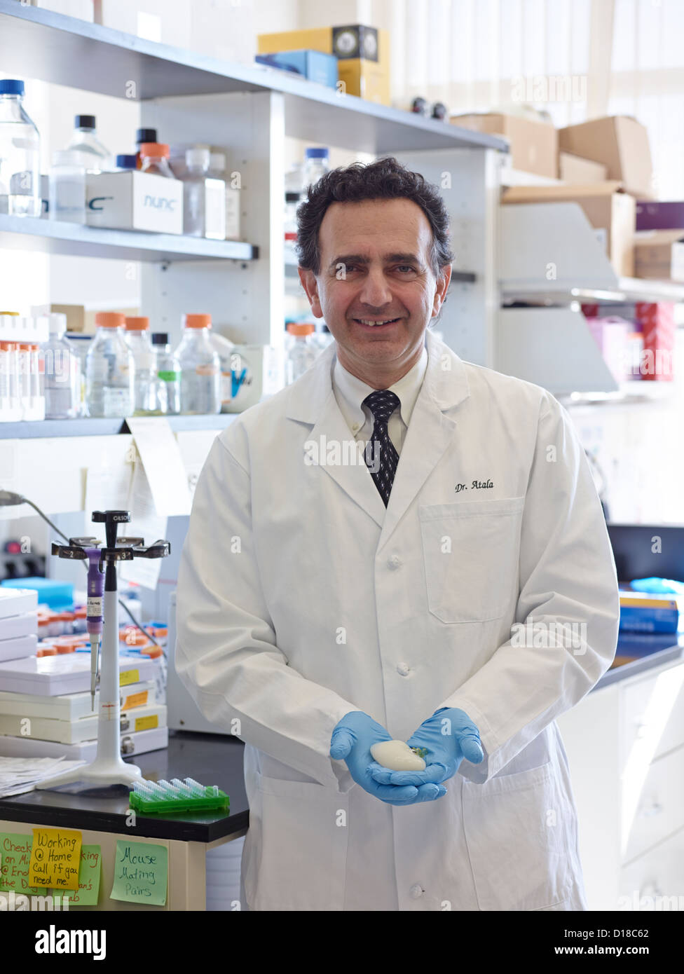 Medico Anthony Atala, M.D., Professore e Direttore del Wake Forest Institute per la medicina rigenerativa tenendo i campioni di medicinali Foto Stock
