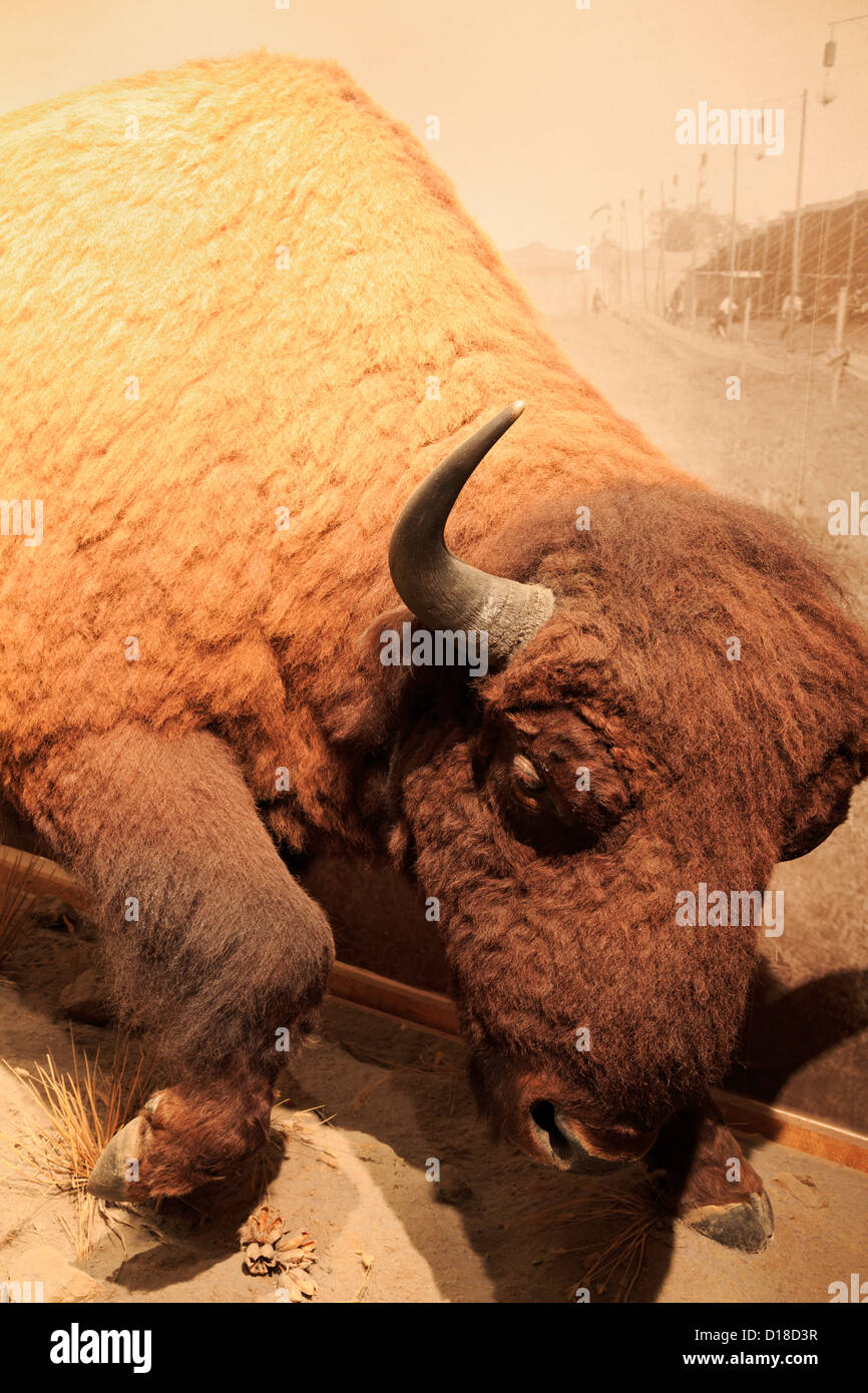 Museo di Buffalo Bill & Grave,Golden,Colorado,USA Foto Stock