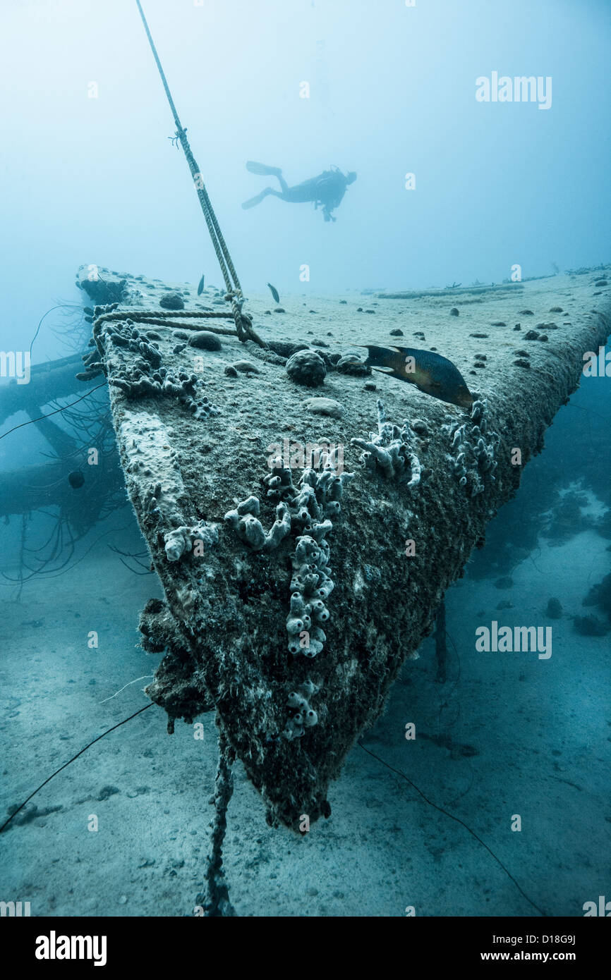 Diver esaminando relitto subacqueo Foto Stock