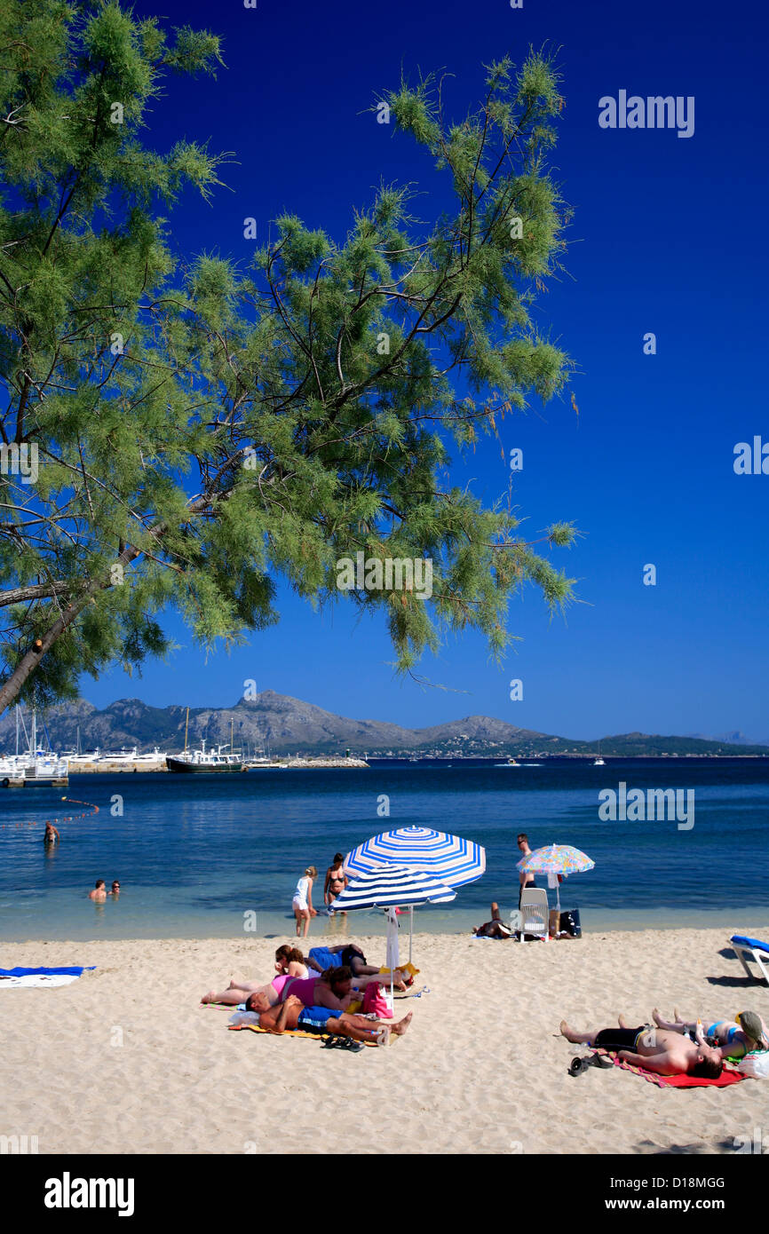 Il resort di Port de Pollenca, Maiorca, isole Baleari, Spagna, Europa Foto Stock