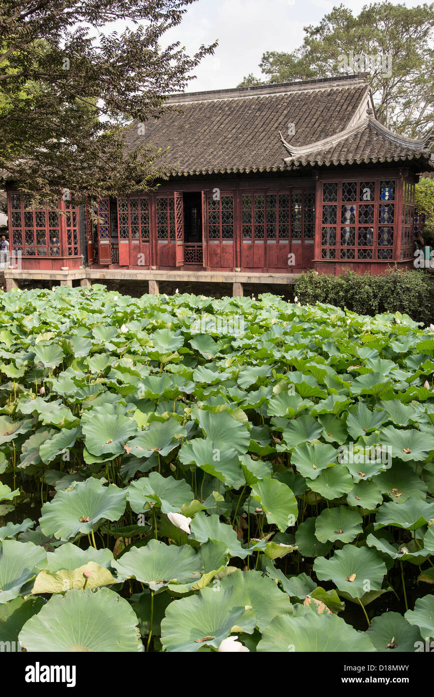 Anatra di mandarino Hall nell umile Administrator's garden a Suzhou, Cina. Foto Stock