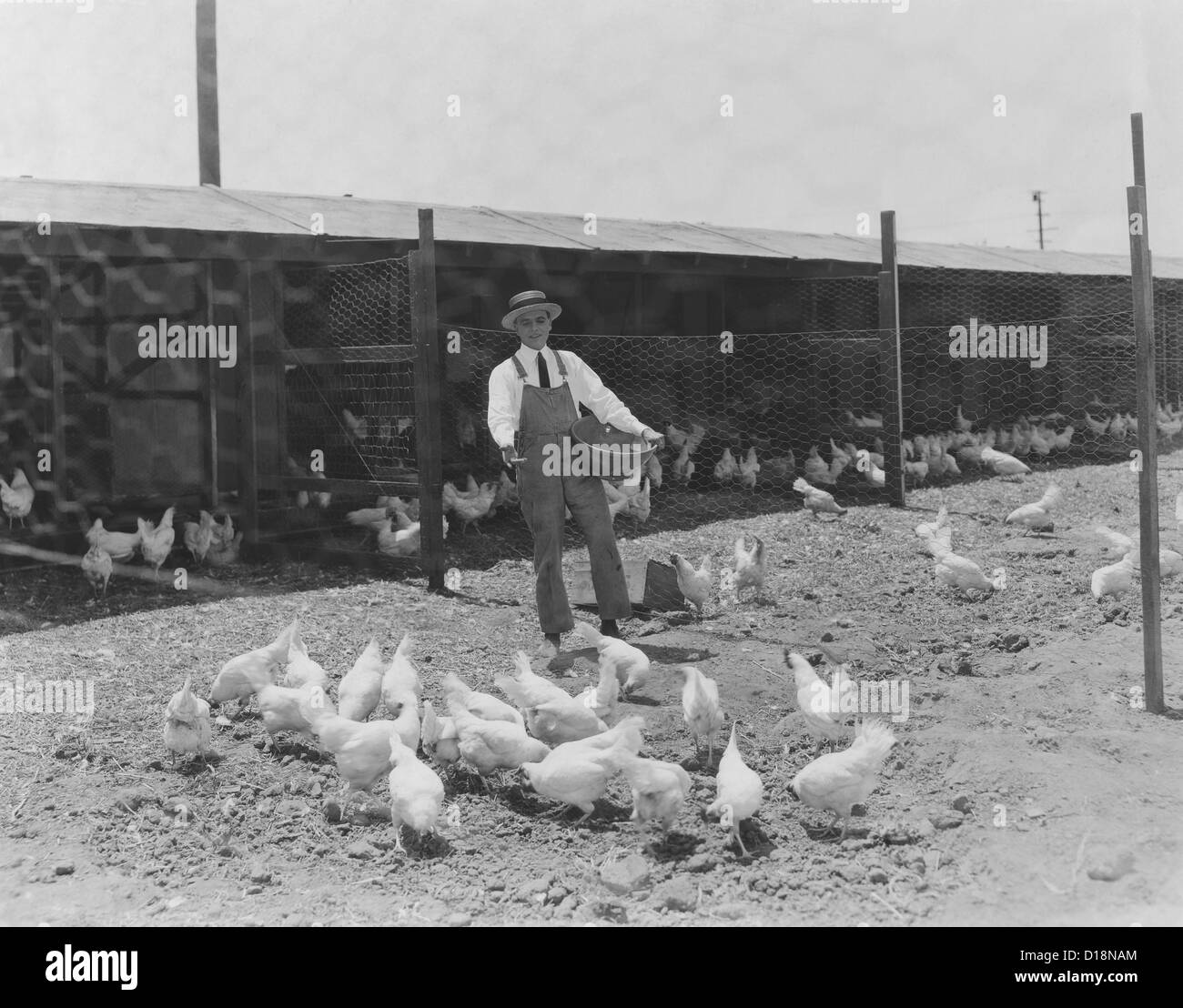 Il tempo di alimentazione presso la coop Foto Stock