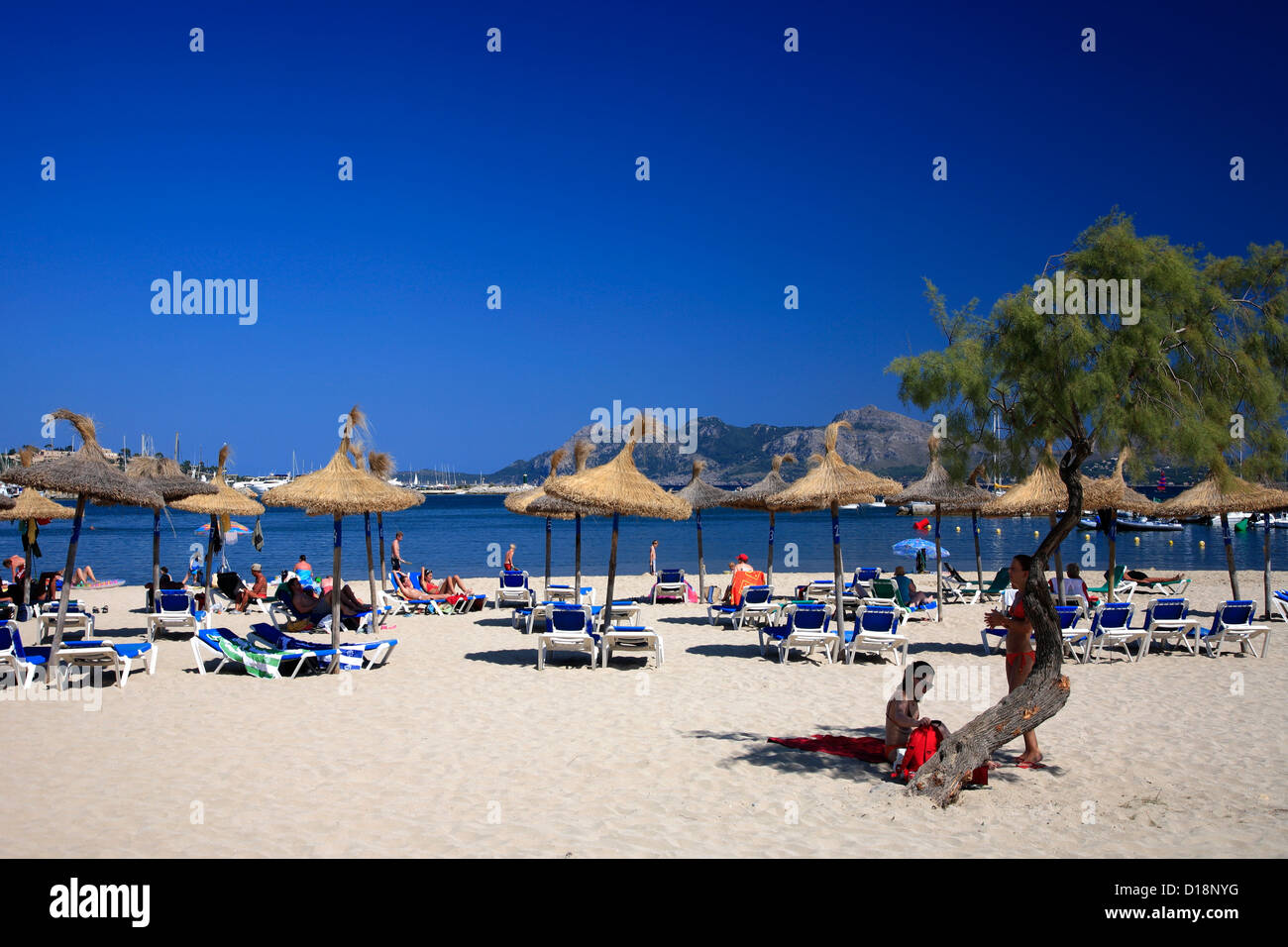 Il resort di Port de Pollenca, Maiorca, isole Baleari, Spagna, Europa Foto Stock