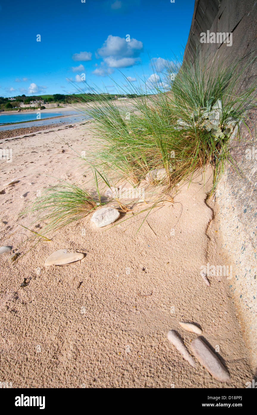 Longis sulla spiaggia di Alderney, Isole del Canale Foto Stock