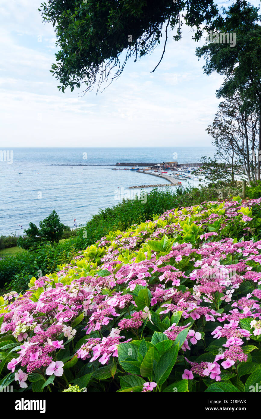 Estate a Lyme Regis Dorset Regno Unito Foto Stock