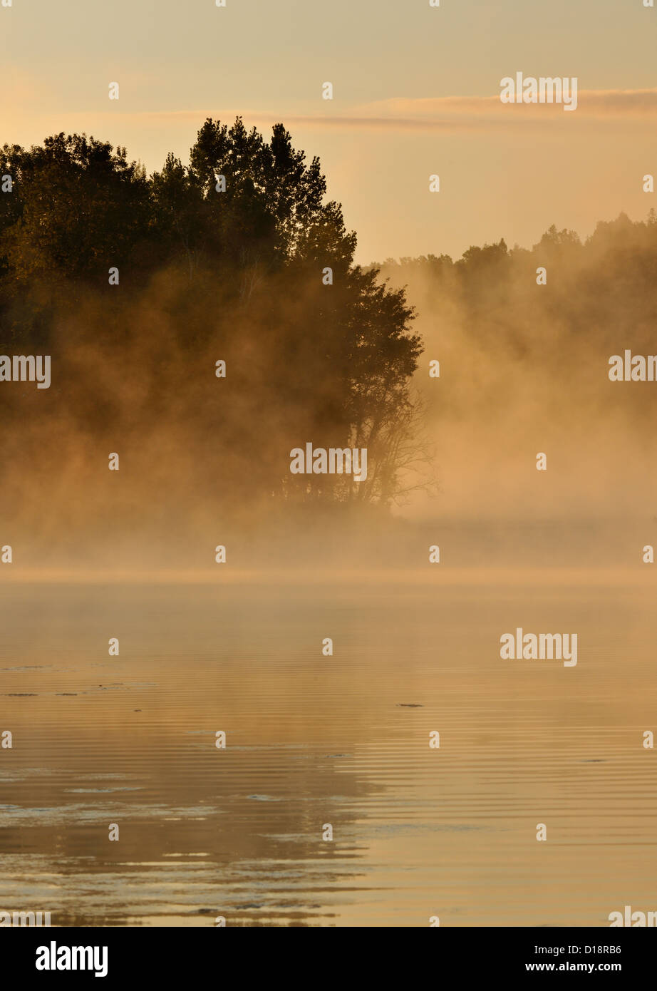 Simon Lago con nebbia di mattina, maggiore Sudbury, Ontario, Canada Foto Stock