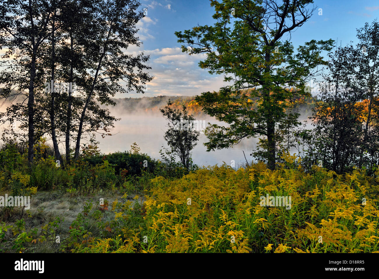 Simon Lago con nebbia di mattina, maggiore Sudbury, Ontario, Canada Foto Stock