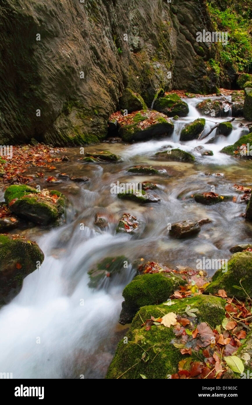 Italia Monti Sibillini Parco Nazionale di Gola dell'Infernaccio Foto Stock