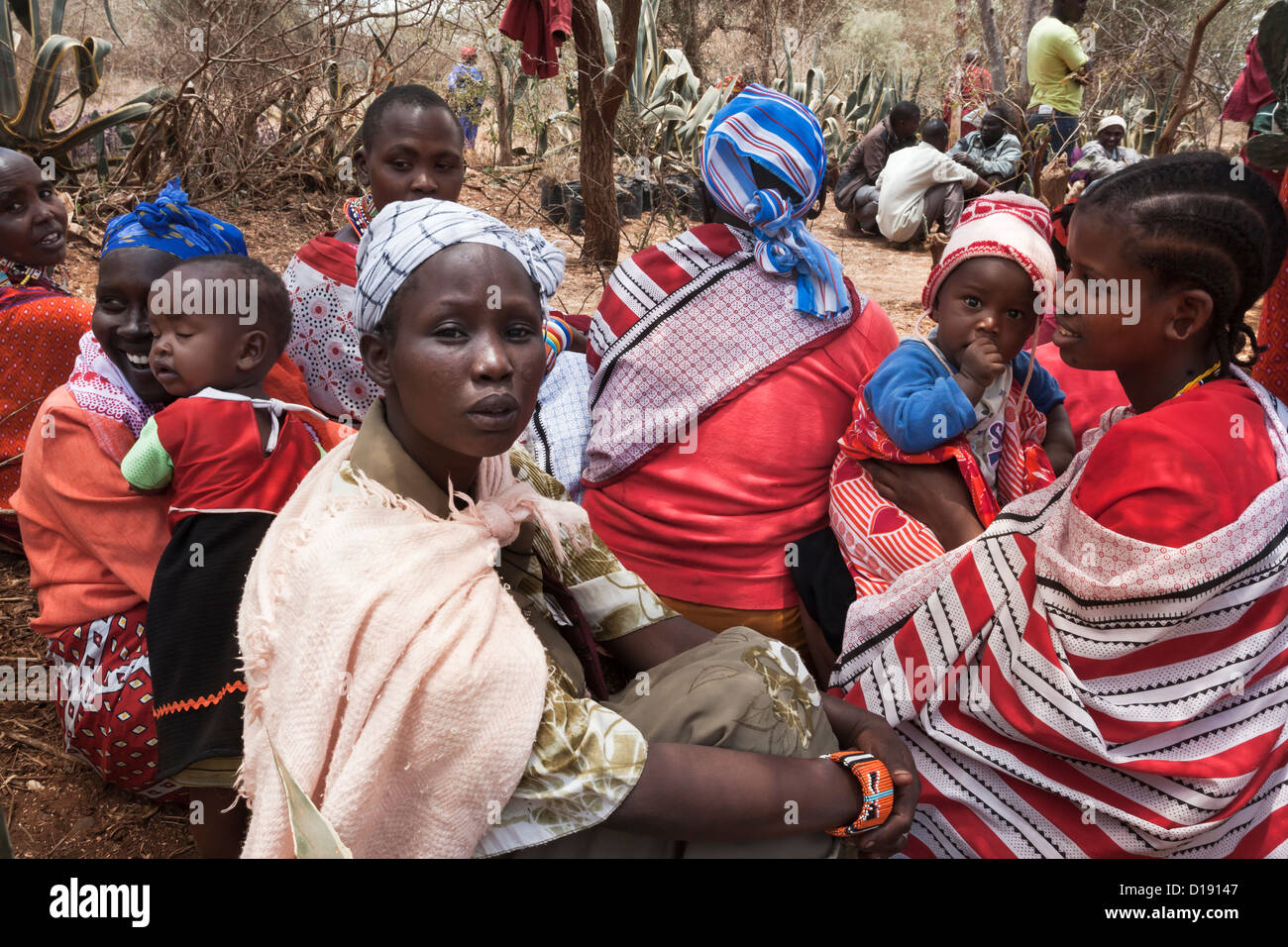 Le donne Masai che presso il predatore del fondo di compensazione di giorno di paga, Gruppo Mbirikani Ranch, Kenya, Africa Foto Stock