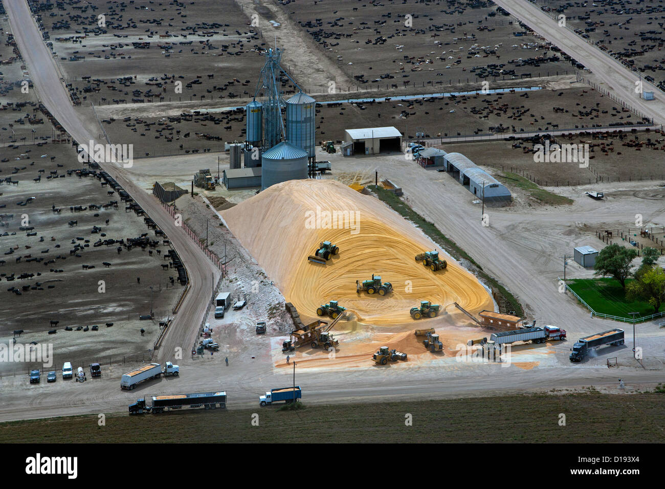 Fotografia aerea le consegne di mais bovini feedlot Nebraska Foto Stock