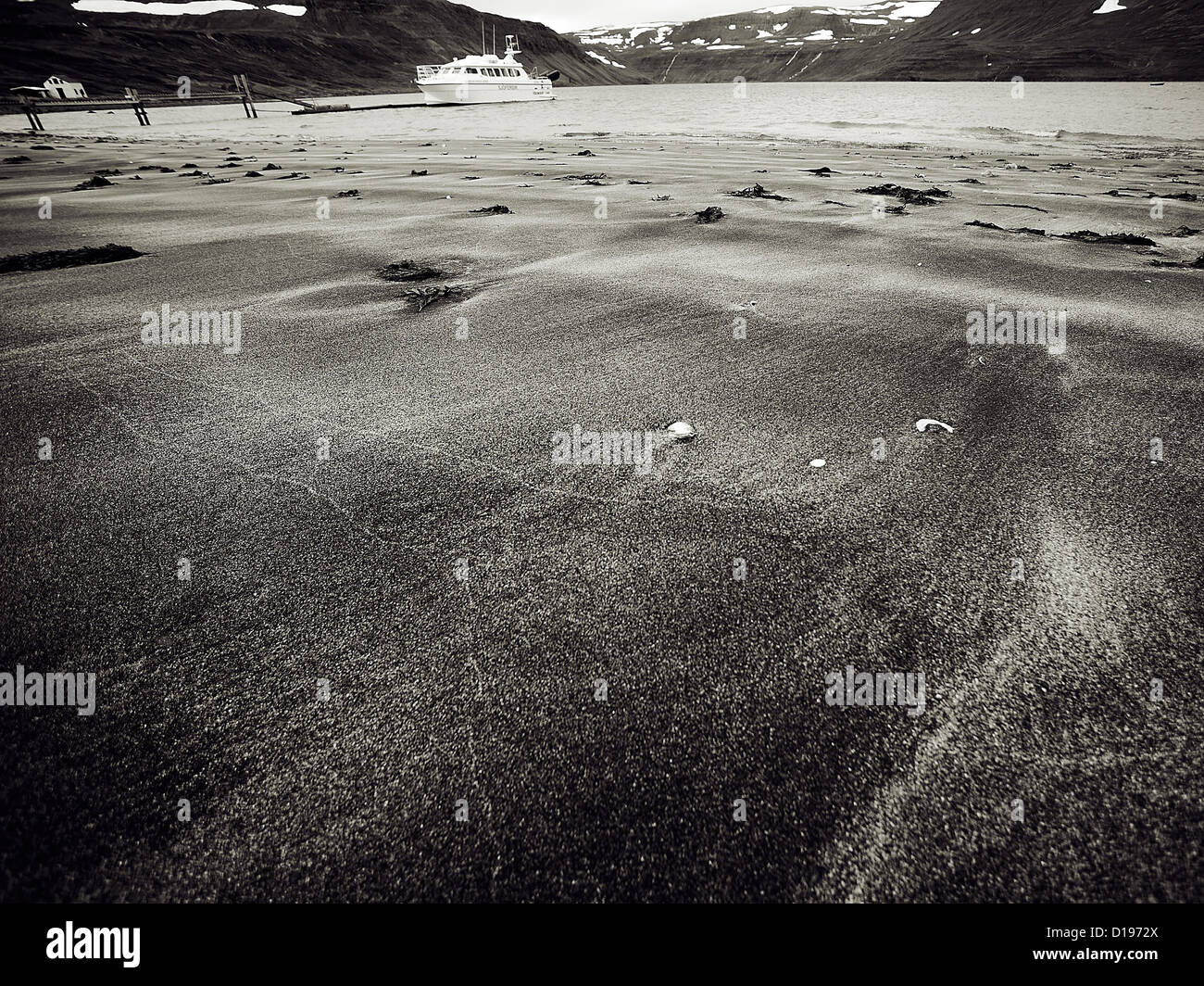 Bianco e Nero Beach, Islanda Foto Stock
