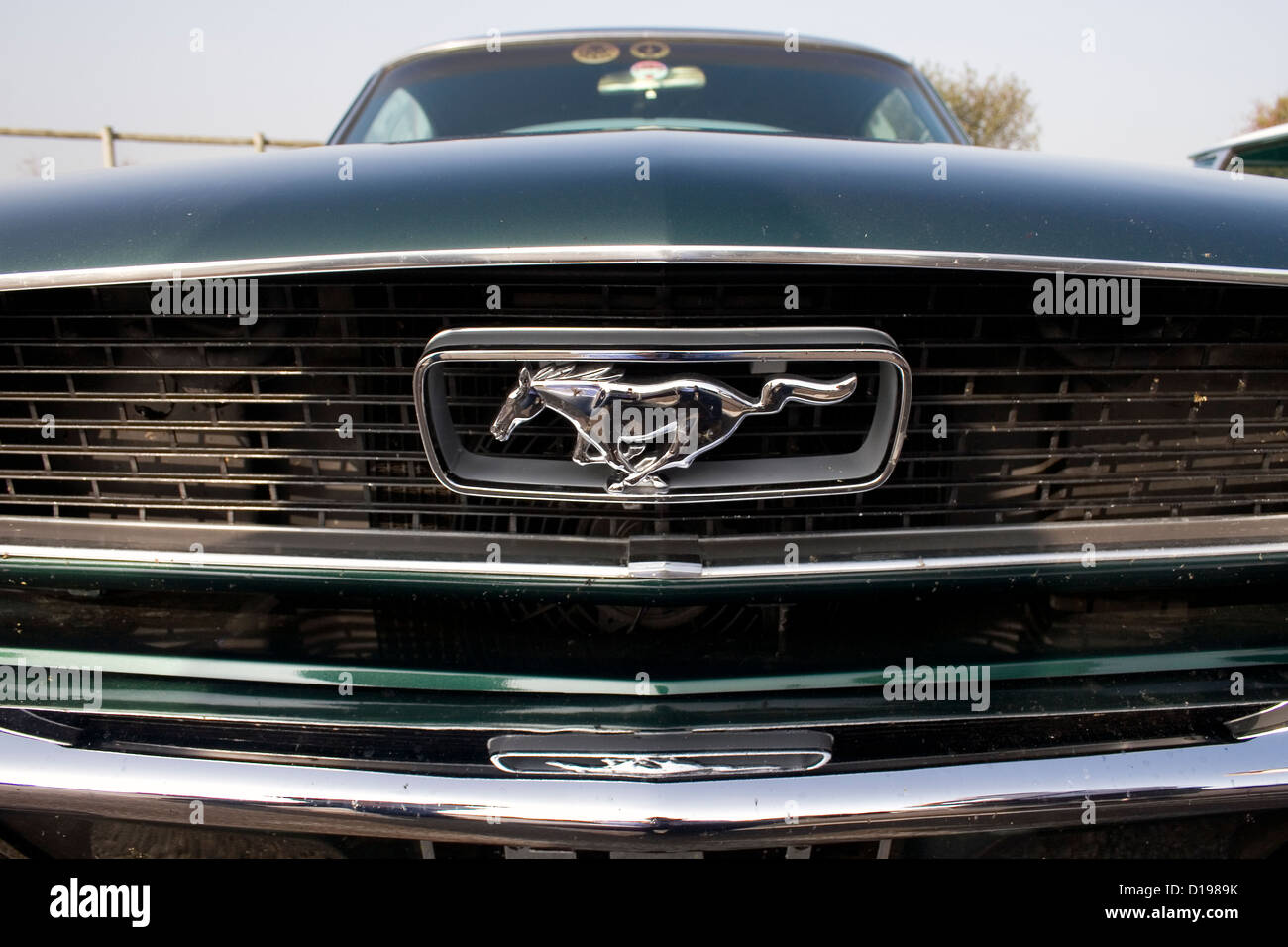 Il monogramma anteriore e la griglia di un classico Ford Mustang auto. Foto Stock Il monogramma anteriore e la griglia di un classico Ford Mustang auto. Foto Stock