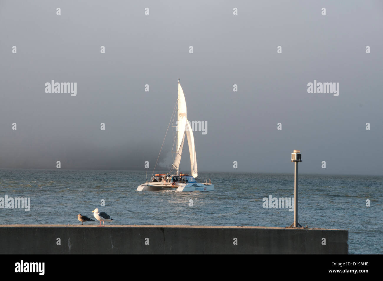 Catamarano Racing nella Baia di San Francisco Foto Stock