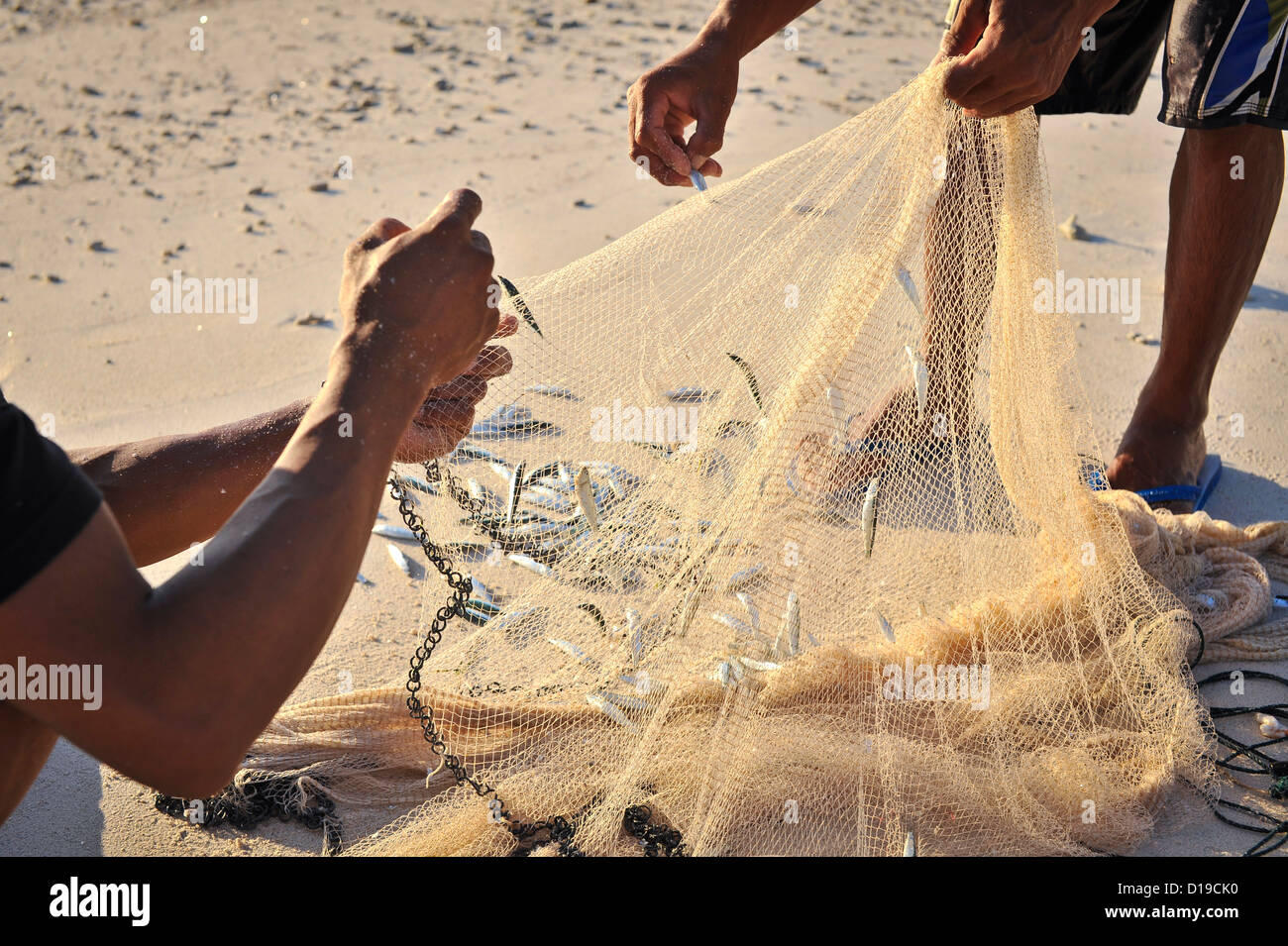 La pesca di bianchetti, Gili Trawangan, Indonesia Foto Stock