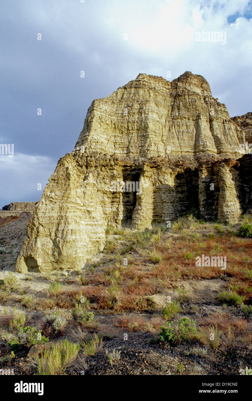 Rhyolitic ceneri vulcaniche formazione in Chalk bacino nel sud-est Oregon Foto Stock