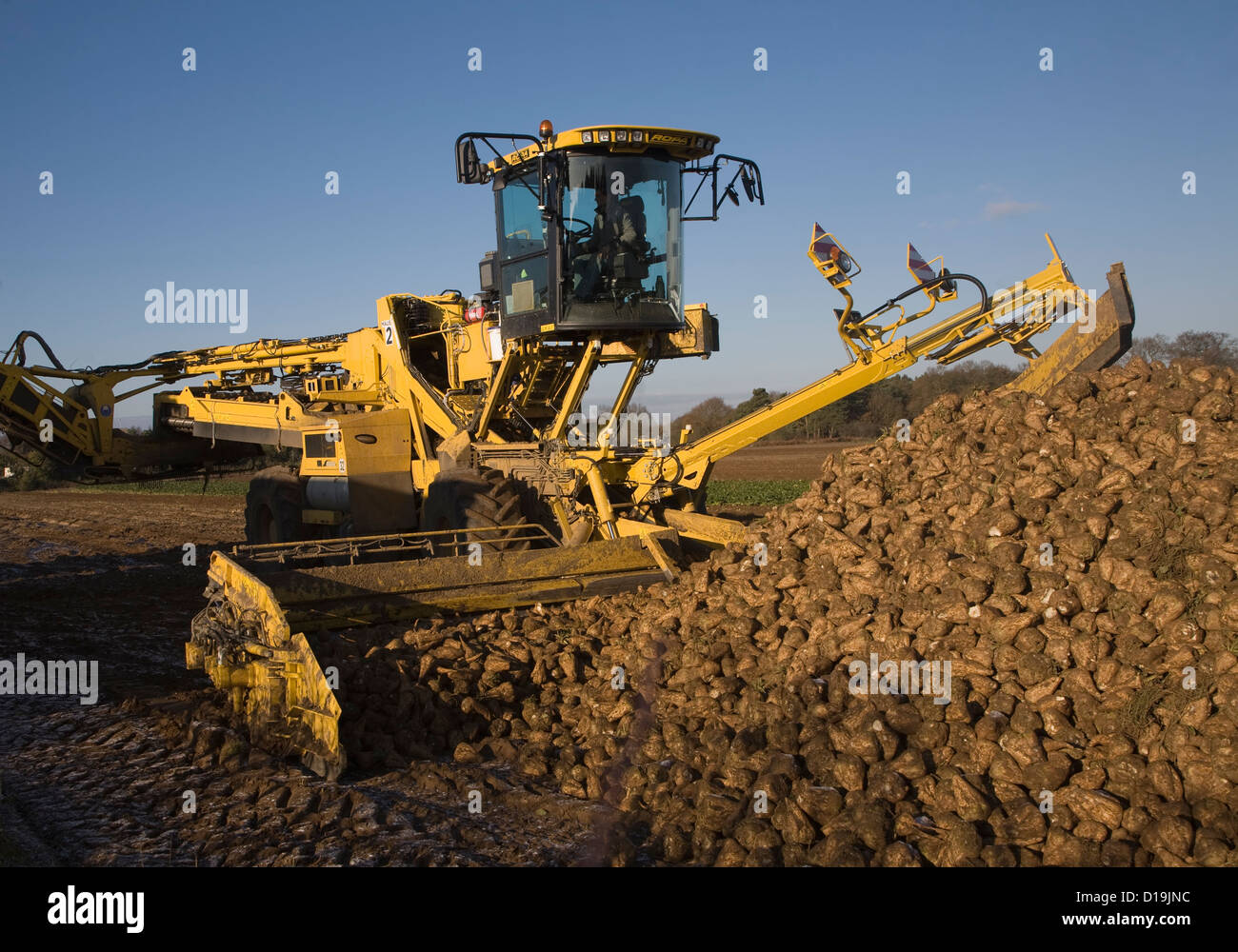 Ropa Euro Maus 4 barbabietola da zucchero loader macchine Shottishm, Suffolk, Inghilterra Foto Stock