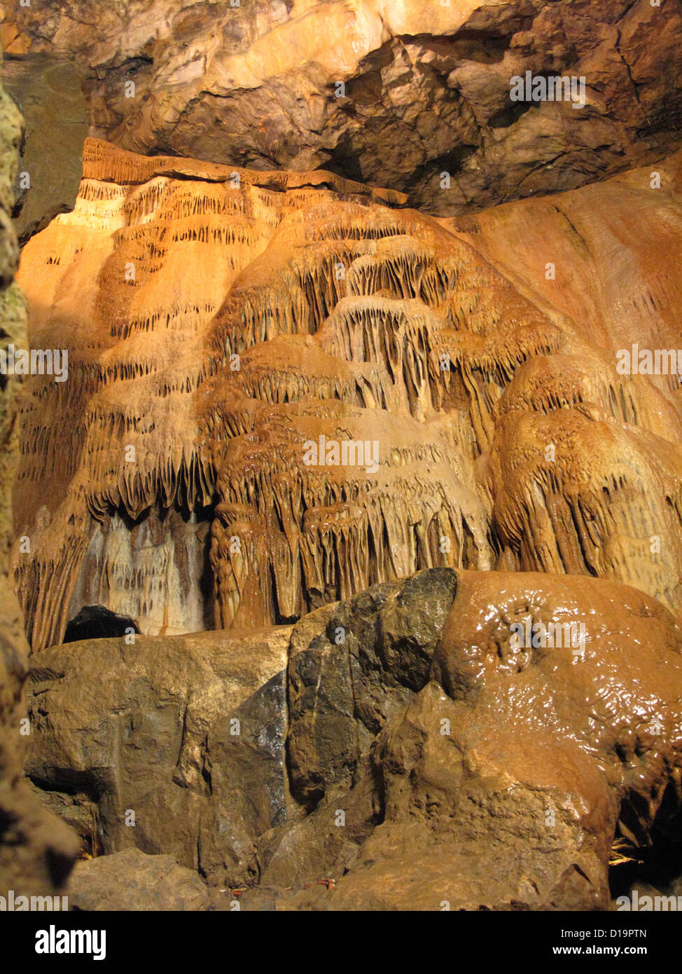 Stalattiti formate sulla parete da acqua nelle grotte di pietra calcarea di Cheddar Gorge Foto Stock