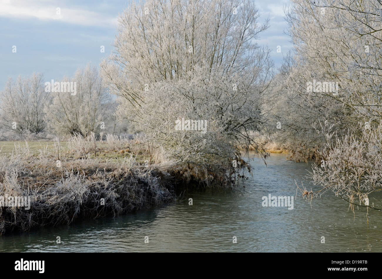 Trasformata per forte gradiente gelo nel West Oxfordshire, Regno Unito Foto Stock