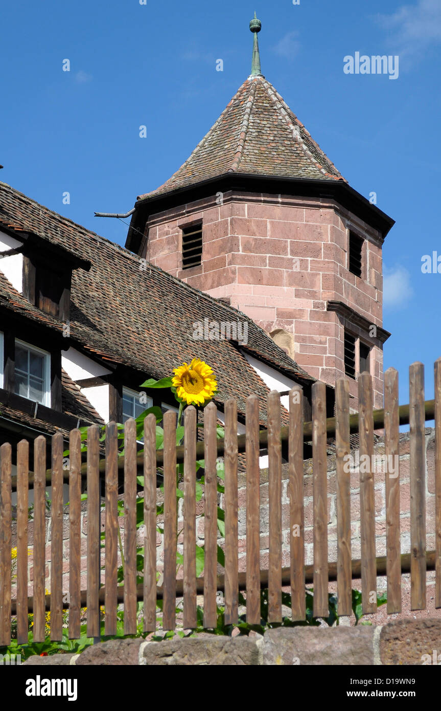 Foresta Nera, Hirsau, il Monastero di San Pietro e Paolo, Baden Würtemberg, Nord - Schwarzwald, Kloster Hirsau, Foto Stock