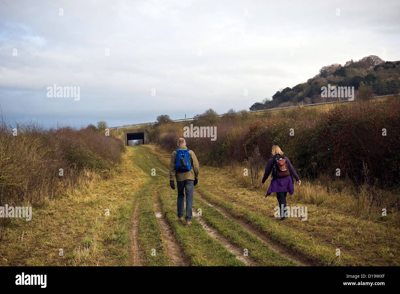 L'autostrada M40 attraversando la Ridgeway National Trail vicino a Chinnor, Buckinghamshire, UK Foto Stock