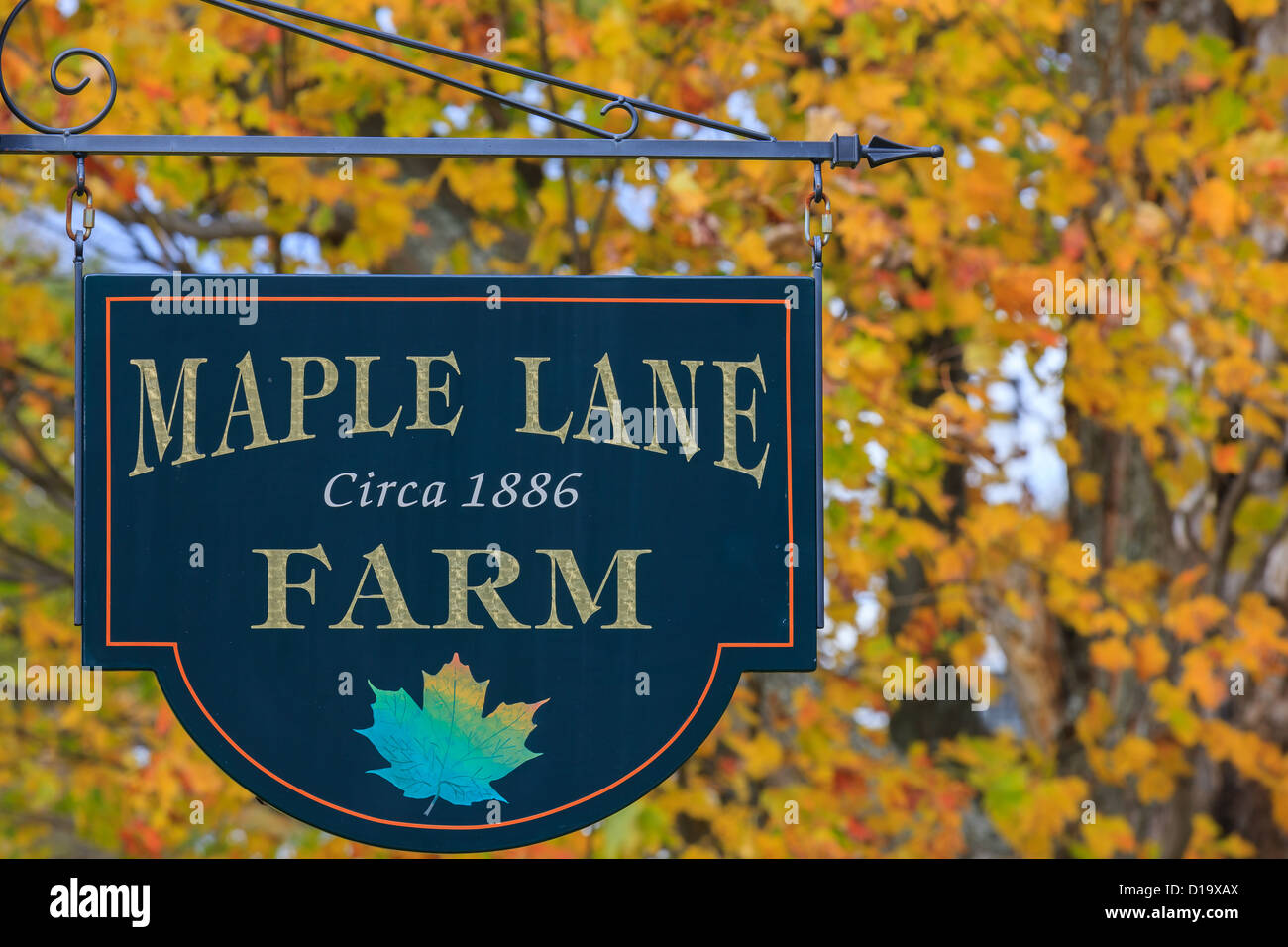 Maple Lane Farm, Vermont Foto Stock