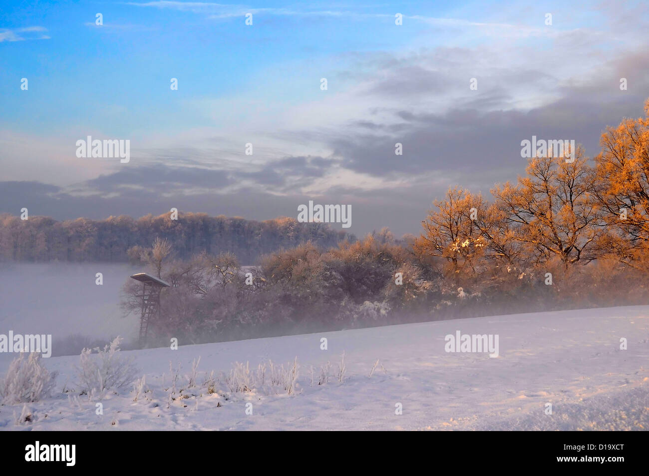 Sunrise con neve a Maulbronn, Atmosfera mattutina, nebbia con neve, strada sterrata con neve e sole con i raggi, la neve e il paesaggio Foto Stock