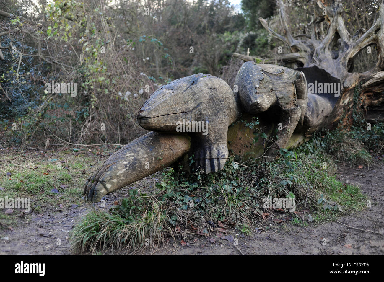 Badger scultura realizzata con albero danneggiato dalla grande tempesta del 1987 a Stanmer Park Brighton UK Foto Stock