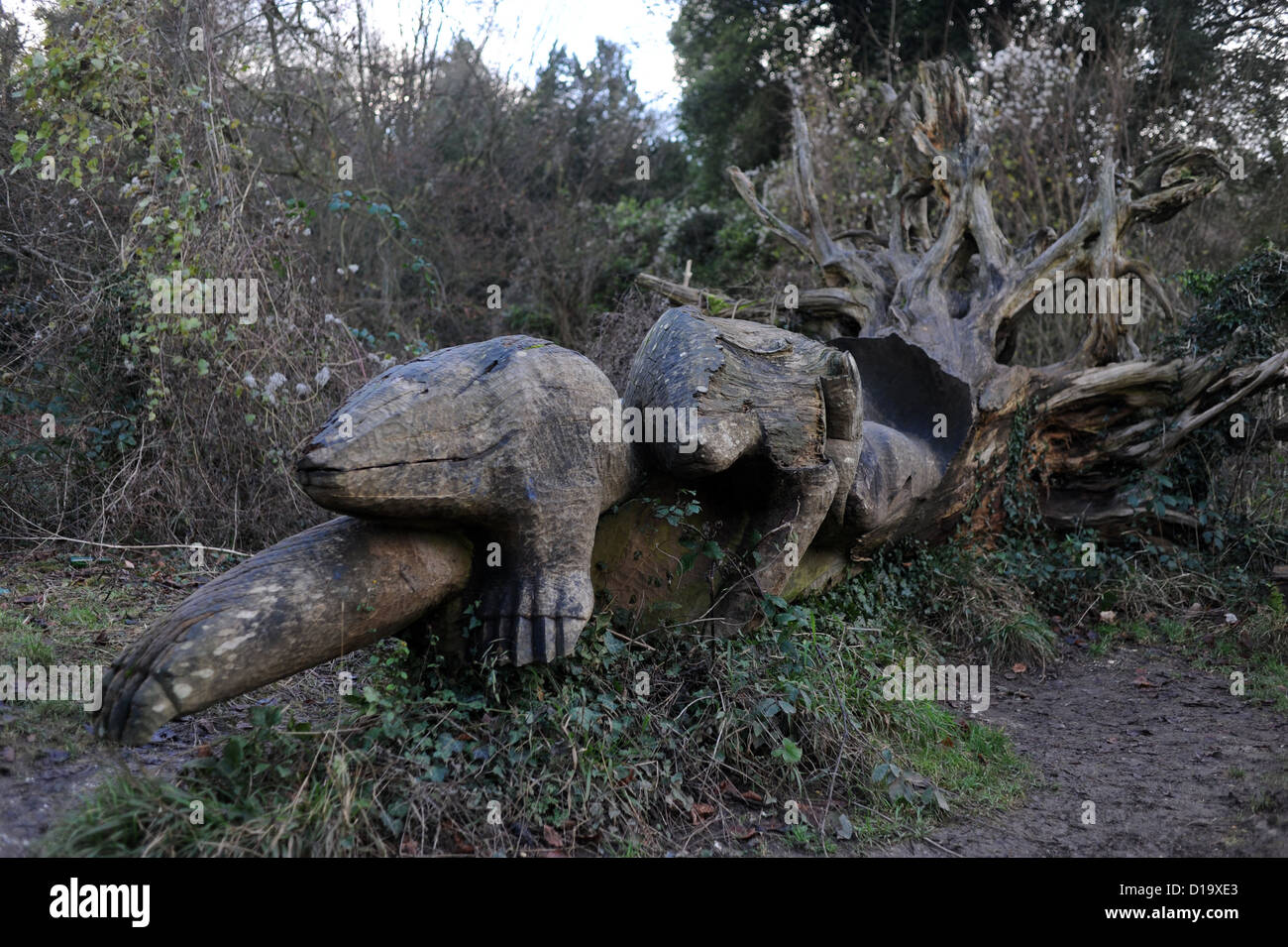 Badger scultura realizzata con albero danneggiato dalla grande tempesta del 1987 a Stanmer Park Brighton UK Foto Stock