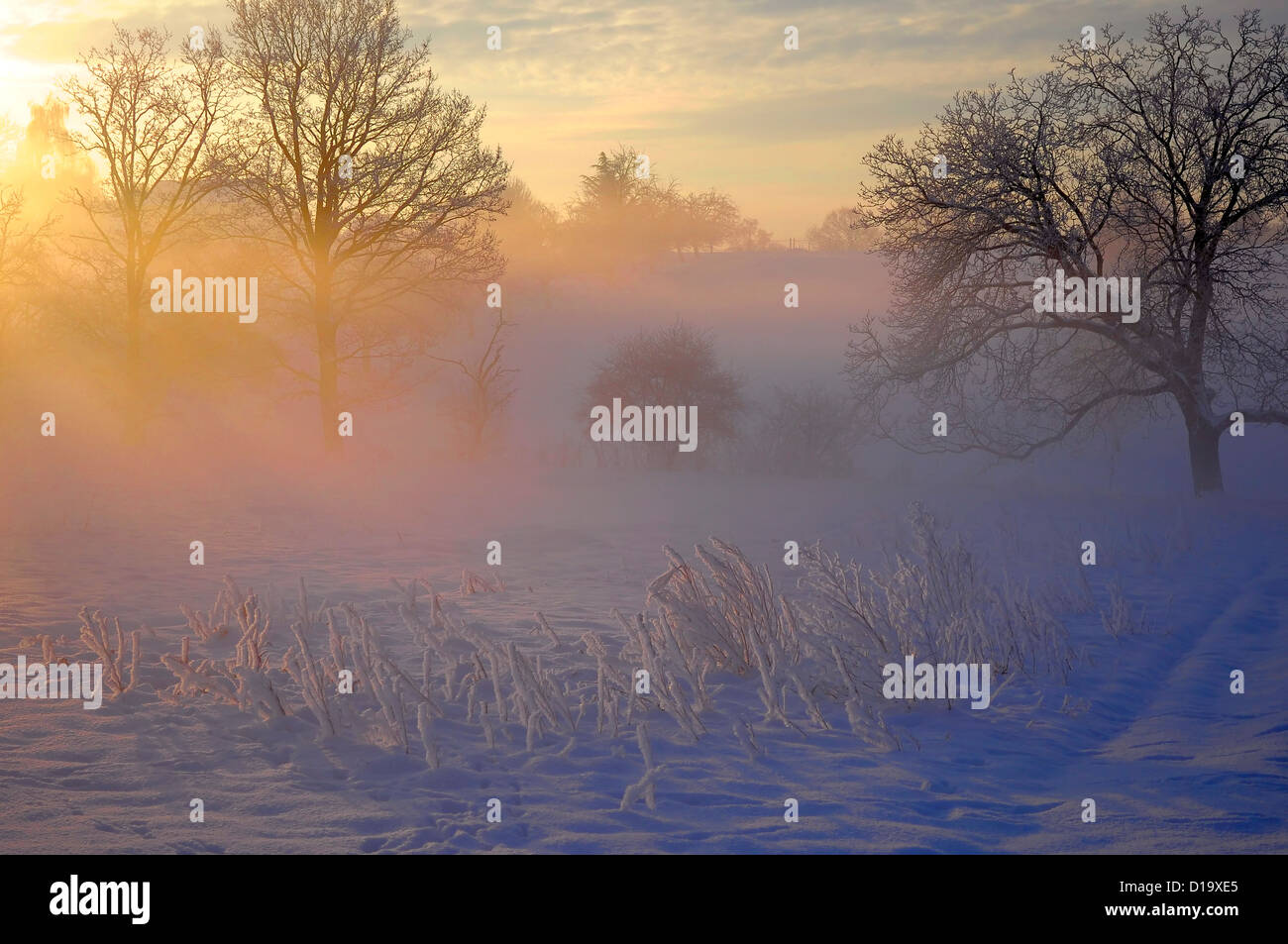 Sunrise con neve a Maulbronn, Atmosfera mattutina, di nebbia con neve, strada sterrata con neve e sole con raggi, snow landscape, con Sunrise Foto Stock