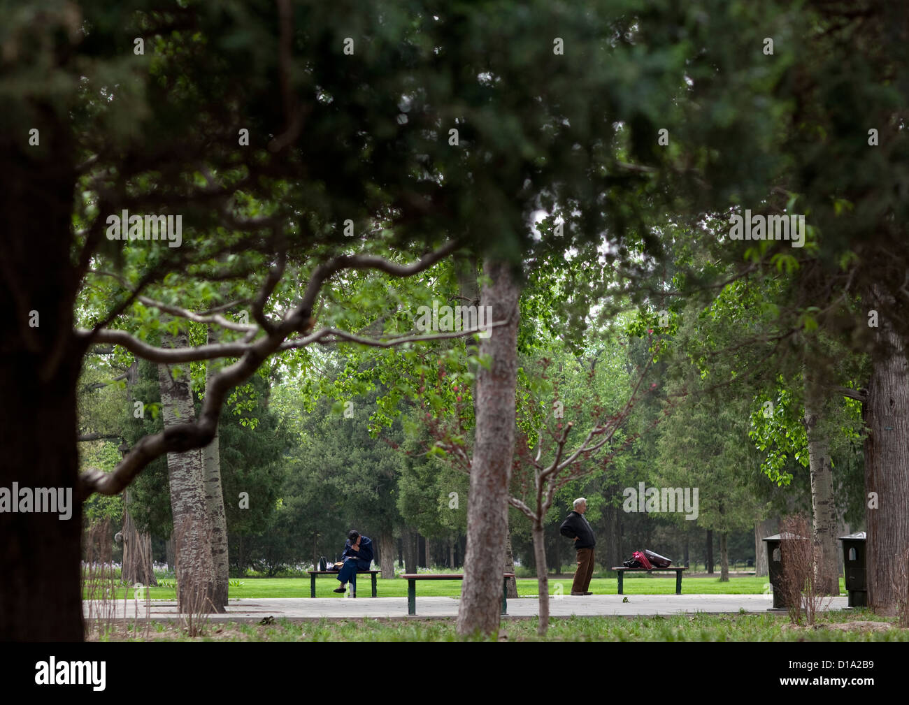 Il vecchio la gente facendo ginnastica in un parco a Pechino, Cina Foto Stock