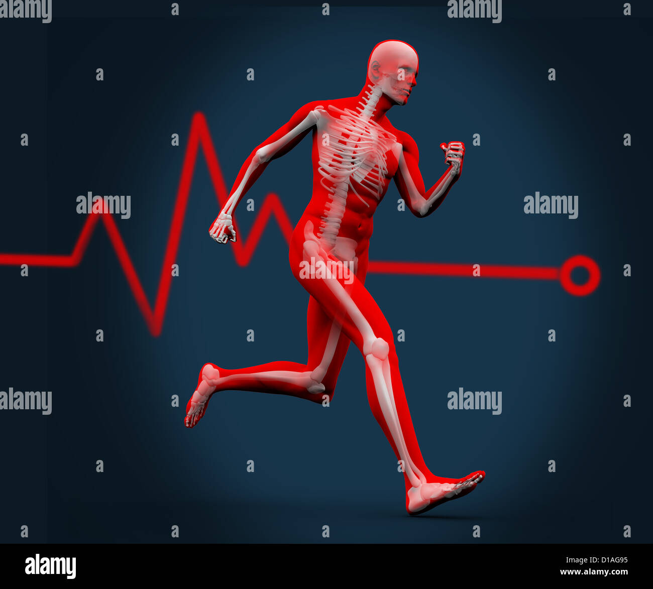 Corpo digitale in esecuzione contro una frequenza cardiaca la linea Foto Stock