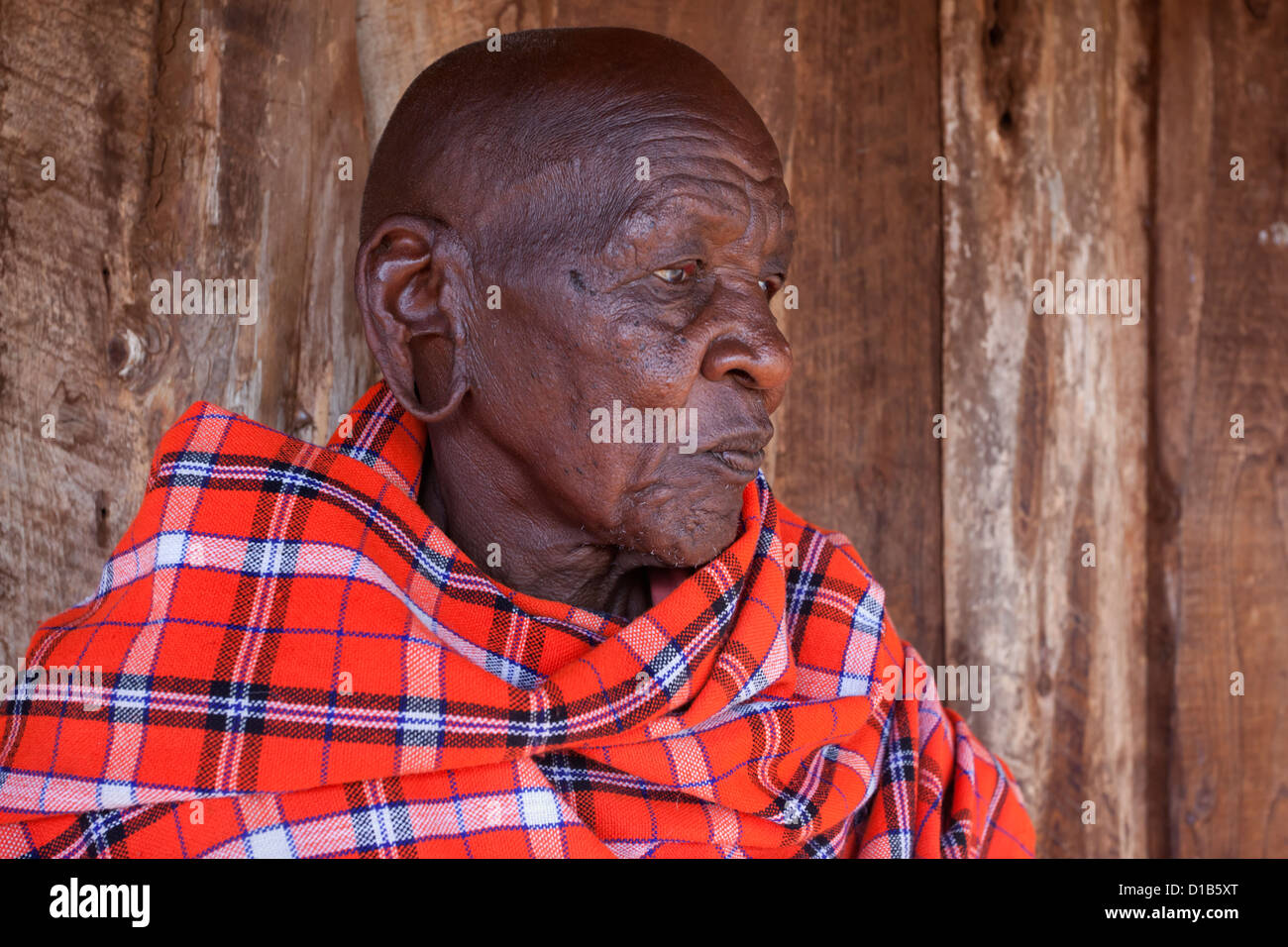 Uomo masai al predatore del fondo di compensazione di giorno di paga, Gruppo Mbirikani Ranch, Kenya, Africa Foto Stock