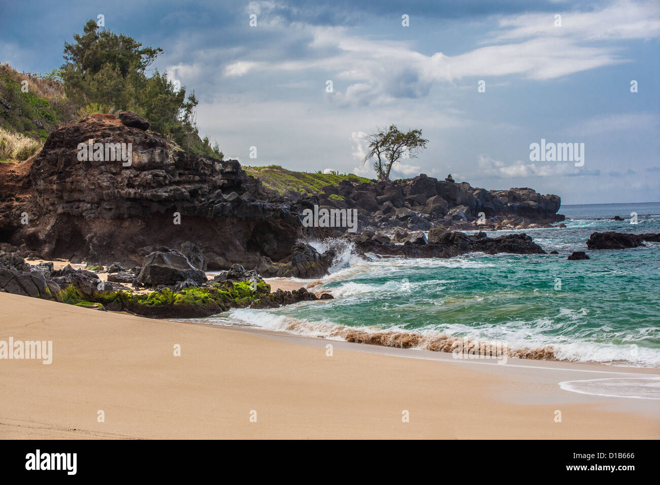 Waimea Bay Oahu Hawaii North Shore Waves Beach Foto Stock