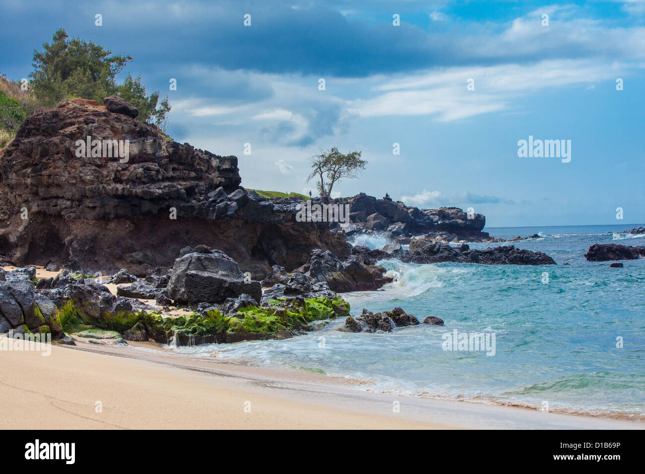 Waimea Bay Oahu Hawaii North Shore Waves Beach Foto Stock