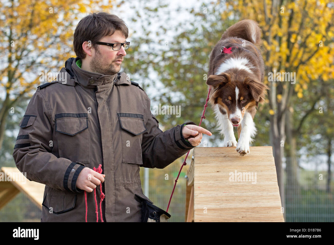 Agilità di formazione presso un pet obbedienza a scuola Foto Stock Agilità di formazione presso un pet obbedienza a scuola Foto Stock