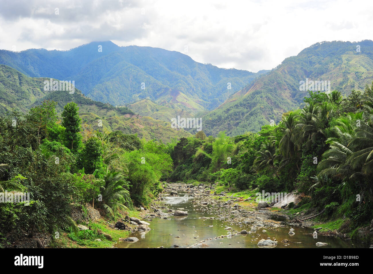 Fiume nella Cordillera Mountains, Filippine Foto Stock