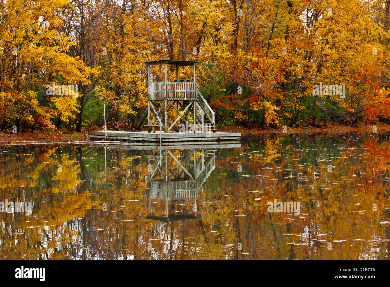 Autunno pieno di colori foresta con riflessi nello specchio d'acqua e galleggianti e torre di legno Foto Stock