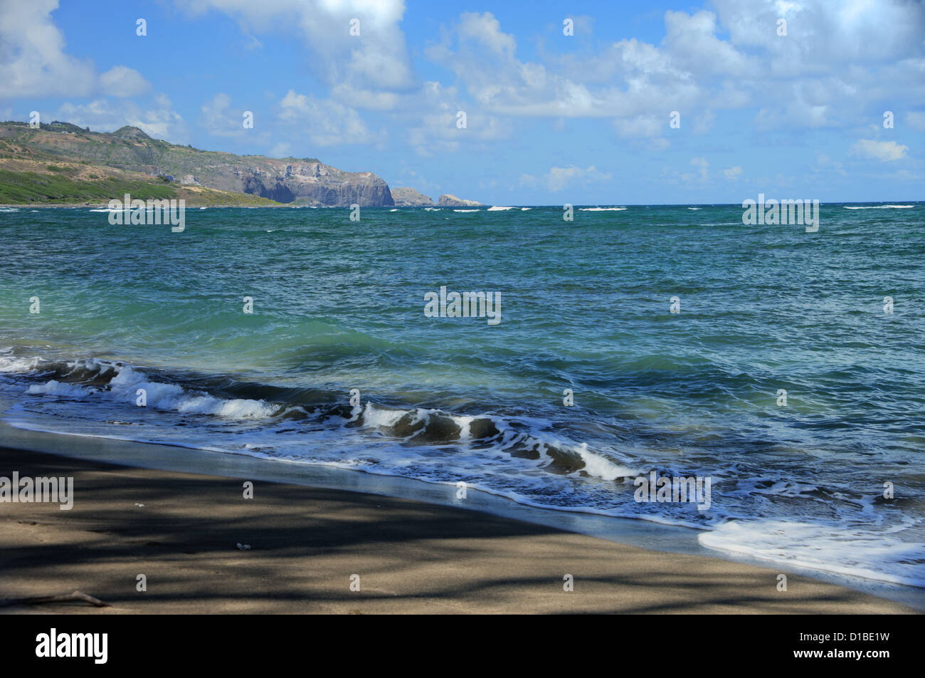 Robusto costa hawaiana con belle nuvole e driftwood a Waihee Beach Park, Maui, Hawaii Foto Stock