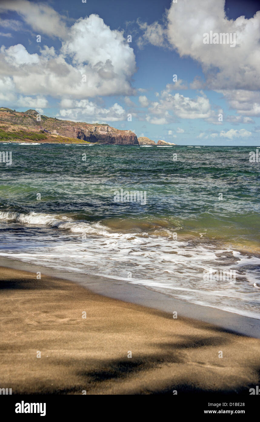 Robusto costa hawaiana con belle nuvole e driftwood a Waihee Beach Park, Maui, Hawaii Foto Stock