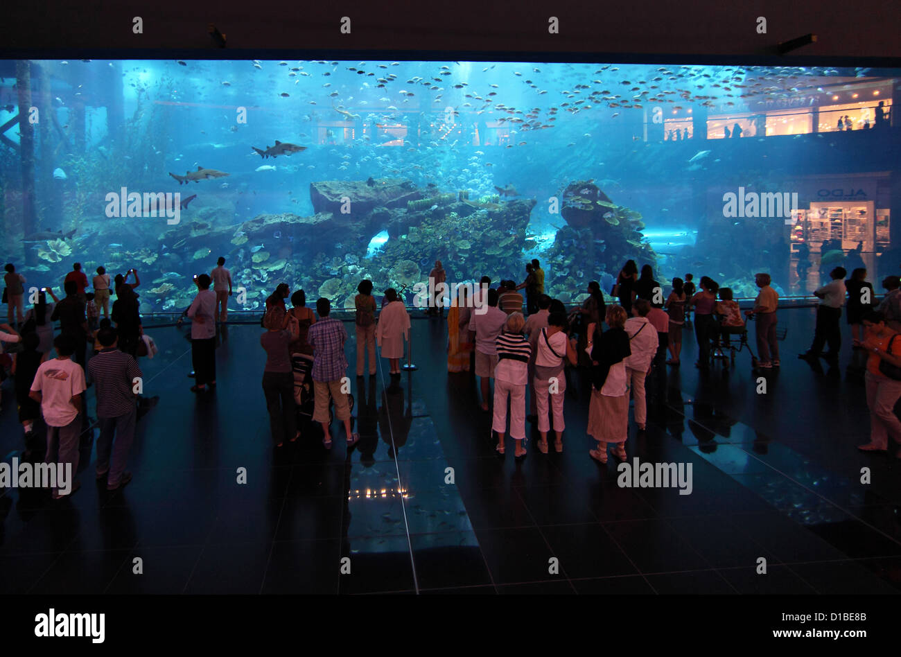 Dubai, Emirati Arabi Uniti Dubai Aquarium visitatori prima del centro commerciale di Dubai Foto Stock