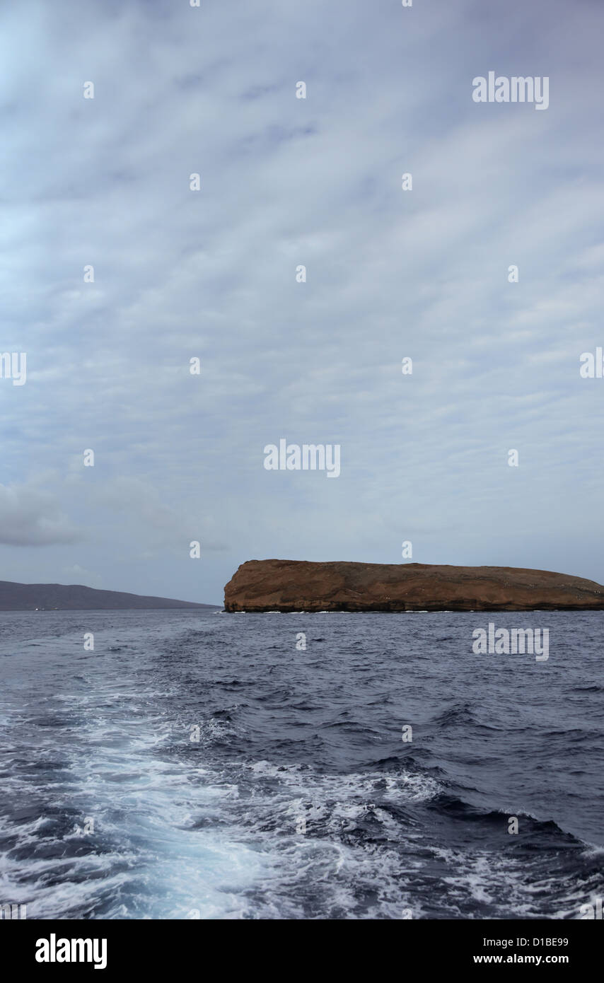 Barca wake lasciando Molokini isola al largo della costa di Maui, Hawaii Foto Stock