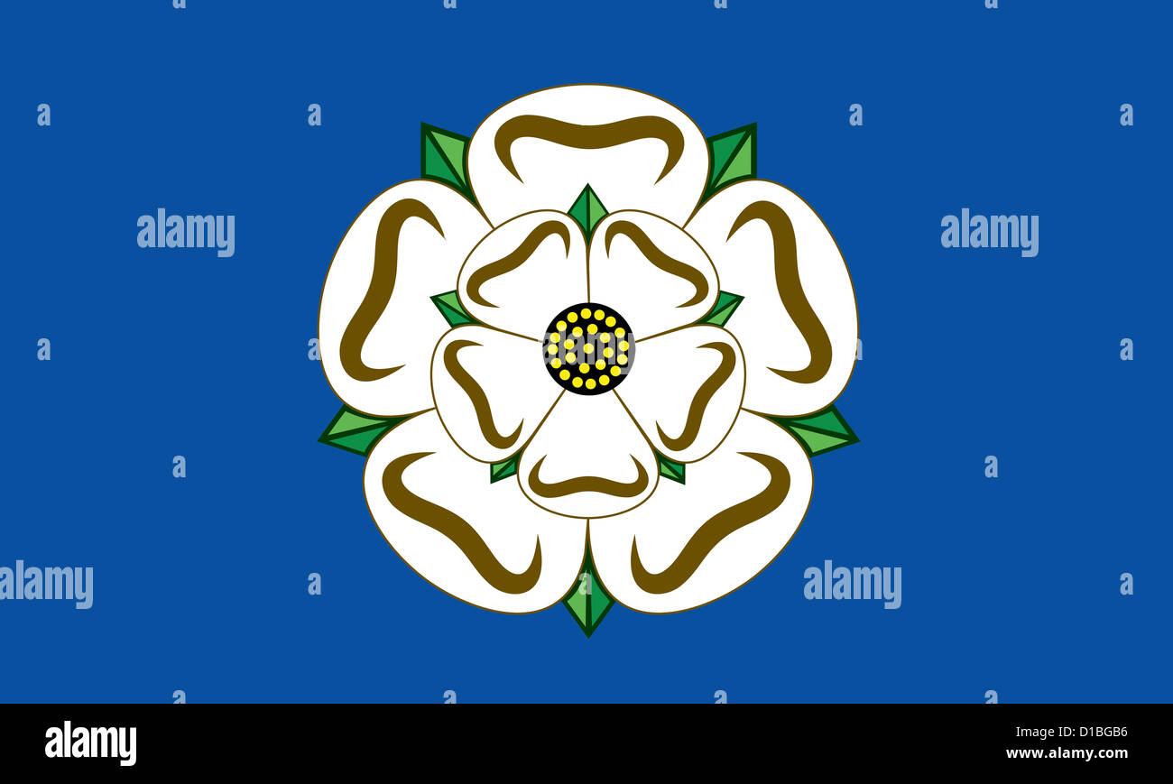 La rosa bianca di York bandiera della contea di Yorkshire Foto Stock