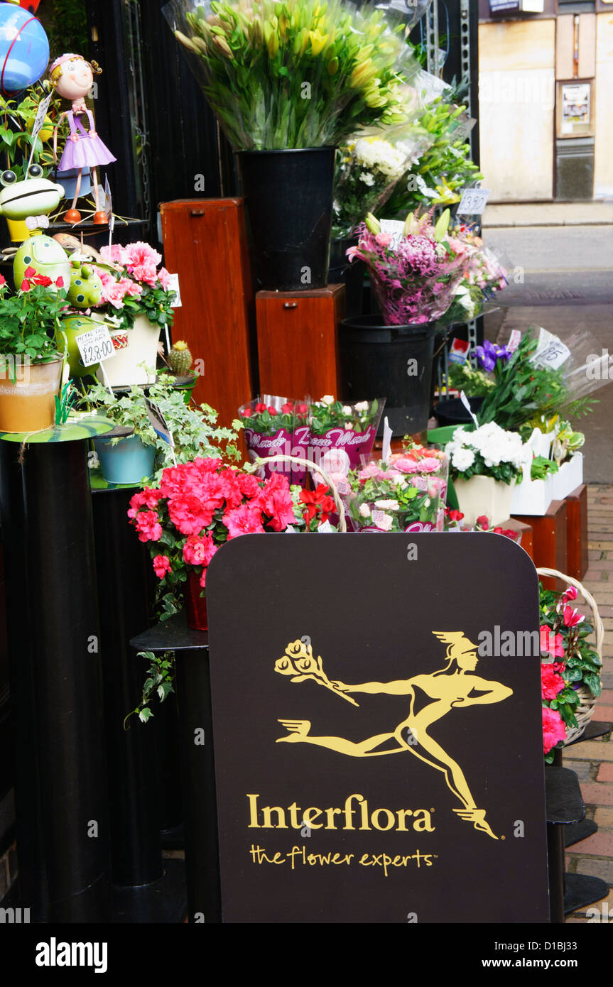 Un segno Interflora al di fuori di un negozio di fiori nel sud di Londra. Foto Stock