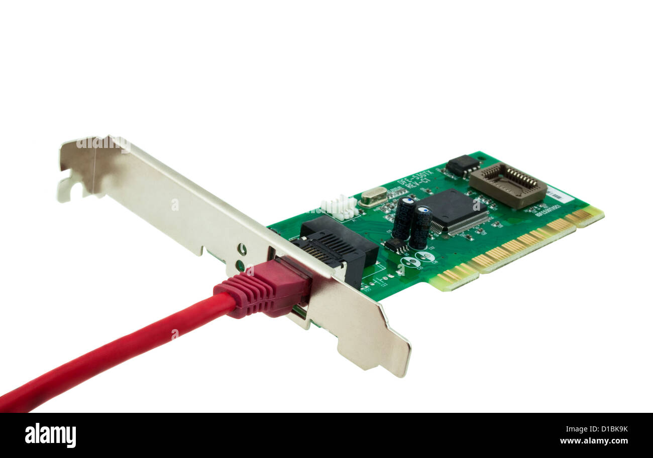 Scheda di rete e un cavo con un connettore di raccordo su uno sfondo bianco Foto Stock