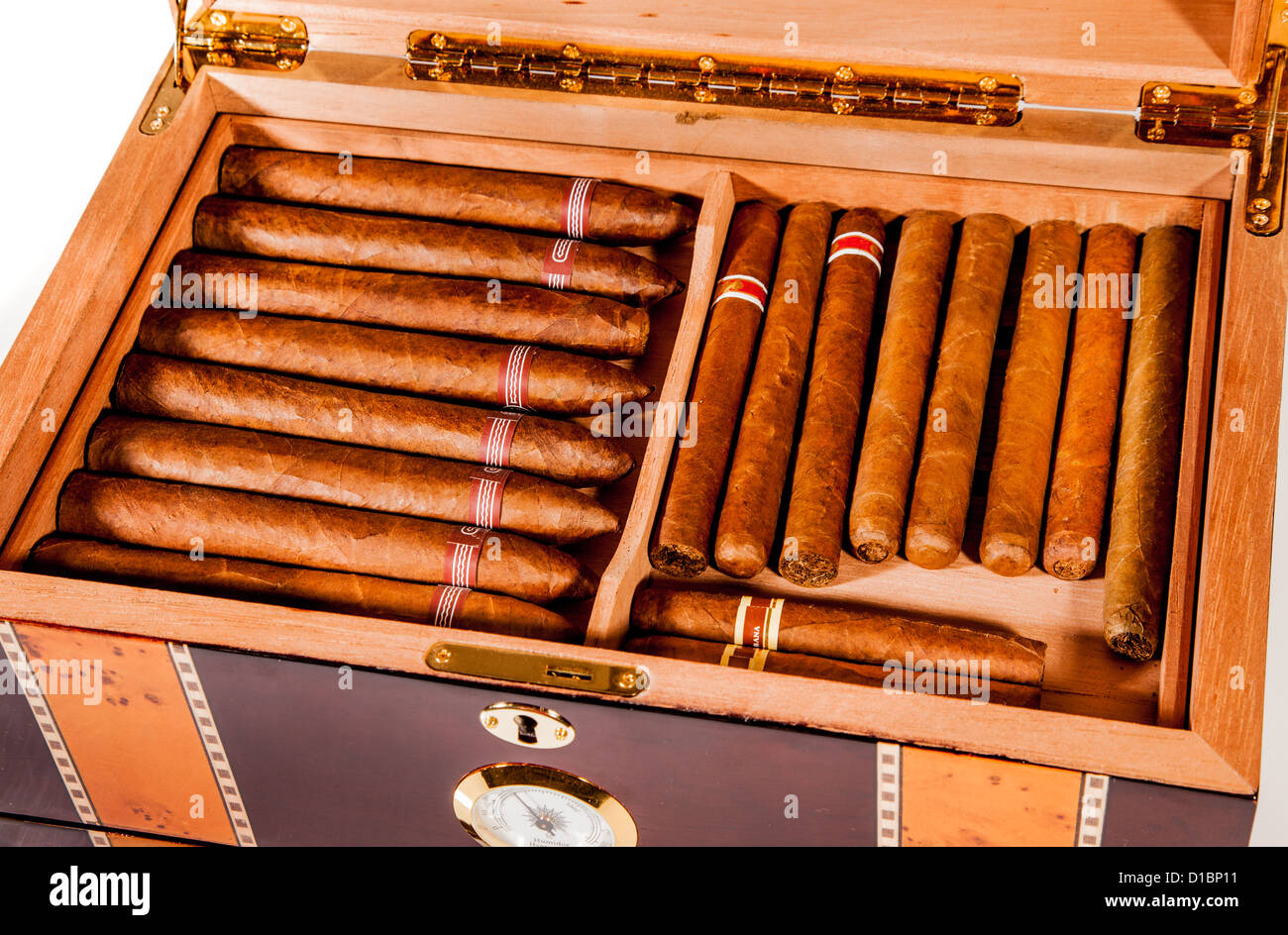 Alcuni laici i sigari in humidor Foto Stock