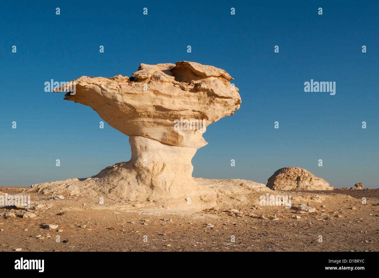 Fungo formazioni rocciose, White Desert (Sahara el Beyda), Egitto Foto Stock