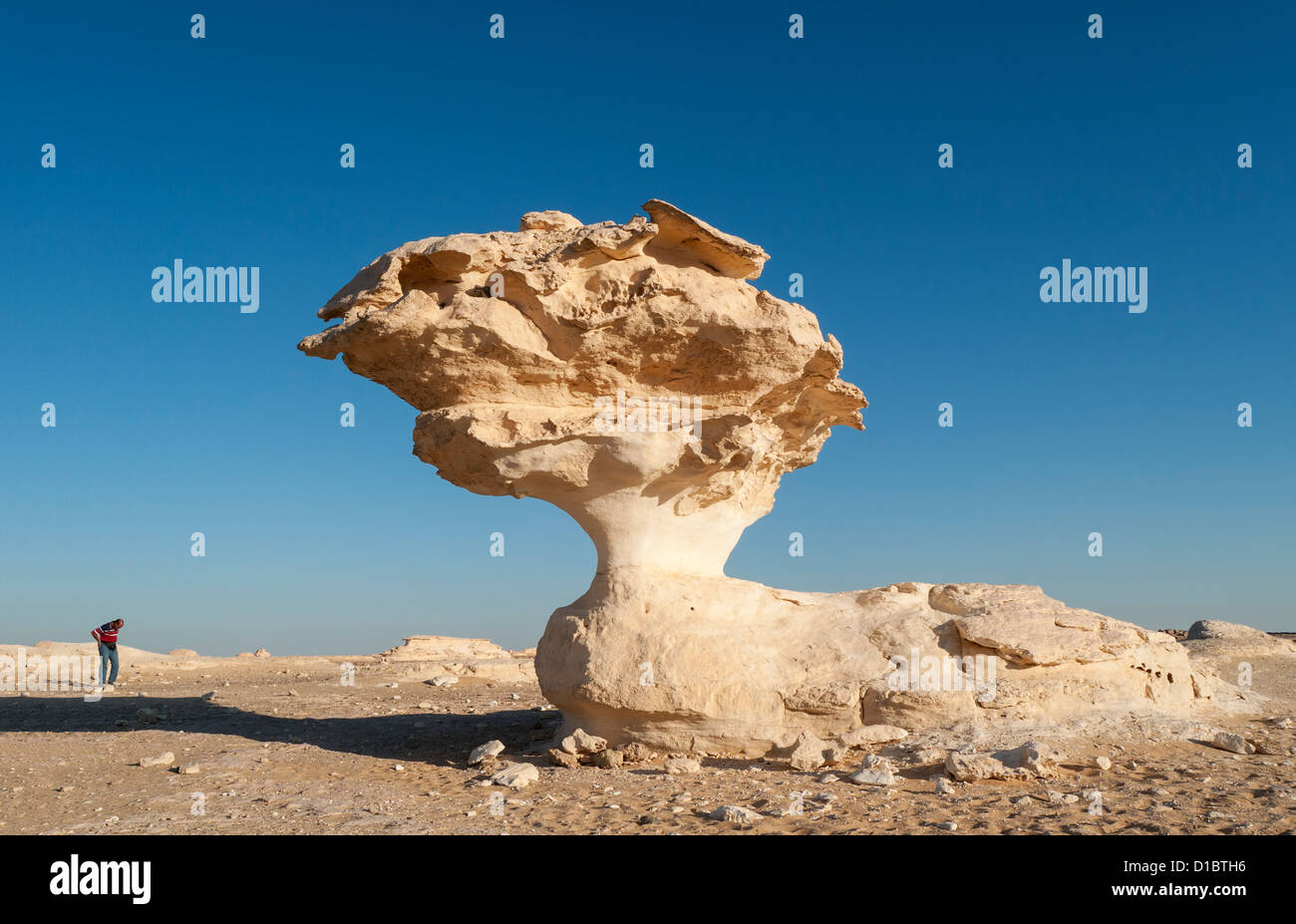 Fungo formazioni rocciose, White Desert (Sahara el Beyda), Egitto Foto Stock